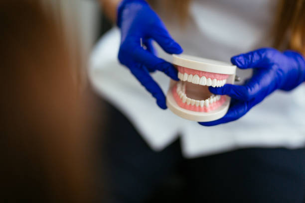 Best Dentures (Full and Partial)  in South Monroe, MI